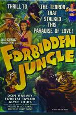 Watch Forbidden Jungle 123movies