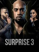 Watch Surprise 3 123movies