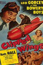 Watch Clipped Wings 123movies