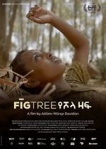 Watch Fig Tree 123movies