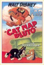 Watch Cat Nap Pluto 123movies