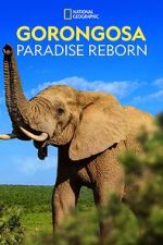 Watch Gorongosa: Paradise Reborn (Short 2022) 123movies