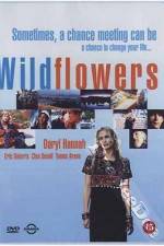 Watch Wildflowers 123movies