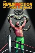 Watch The Resurrection of Jake The Snake Roberts 123movies