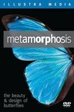 Watch Metamorphosis: The Beauty and Design of Butterflies 123movies