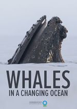 Watch Whales in a Changing Ocean (Short 2021) 123movies