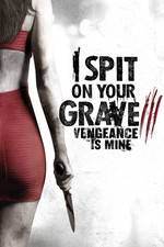 Watch I Spit on Your Grave 3 123movies