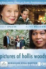 Watch Pictures of Hollis Woods 123movies