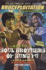 Watch Soul Brothers of Kung Fu 123movies