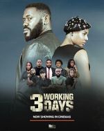 Watch 3 Working Days 123movies