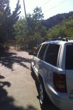 Watch Nefarious Nellie 123movies