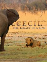 Watch Cecil: The Legacy of a King 123movies