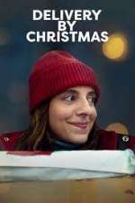 Watch Delivery by Christmas 123movies