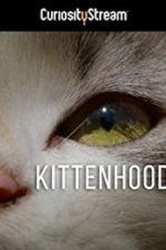 Watch Kittenhood 123movies