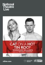 Watch Cat on a Hot Tin Roof 123movies
