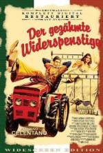 Watch The Taming of the Scoundrel 123movies