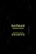 Watch Batman: Taking Flight 123movies