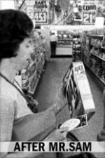 Watch After Mr. Sam 123movies