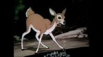 Watch Wacky Wildlife (Short 1940) 123movies