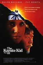 Watch The Karate Kid Part III 123movies