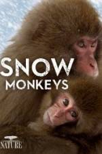 Watch Nature: Snow Monkeys 123movies