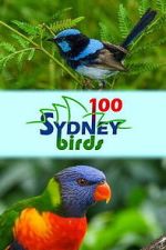 Watch 100 Sydney Birds 123movies