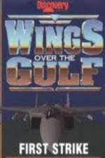Watch Wings Over the Gulf Vol  1  First Strike 123movies