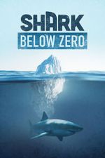 Watch Shark Below Zero 123movies