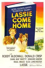Watch Lassie Come Home 123movies