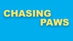 Watch Chasing Paws (Short 2020) 123movies