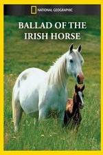 Watch Ballad of the Irish Horse 123movies