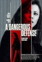 Watch A Dangerous Defense 123movies
