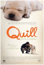 Watch Quill: The Life of a Guide Dog 123movies