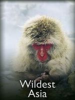 Watch Wildest Asia 123movies