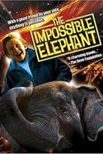 Watch The Incredible Elephant 123movies
