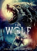 Watch The Wolf 123movies
