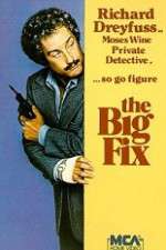 Watch The Big Fix 123movies