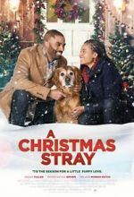 Watch A Christmas Stray 123movies