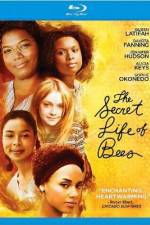 Watch The Secret Life of Bees 123movies
