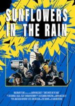 Watch Sunflowers in the Rain 123movies