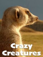 Watch Crazy Creatures 123movies
