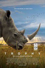 Watch Trophy 123movies