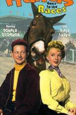 Watch Francis Goes to the Races 123movies