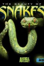 Watch The Beauty of Snakes 123movies