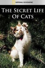 Watch The Secret Life of Cats 123movies