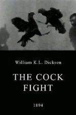 Watch The Cock Fight 123movies