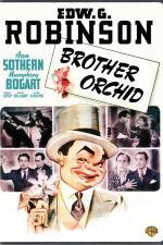 Watch Brother Orchid 123movies