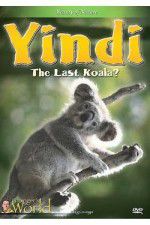 Watch Yindi the Last Koala 123movies
