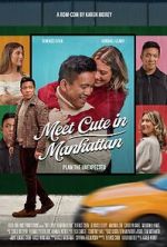 Watch Meet Cute in Manhattan 123movies