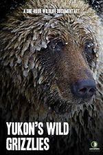 Watch Yukon\'s Wild Grizzlies 123movies